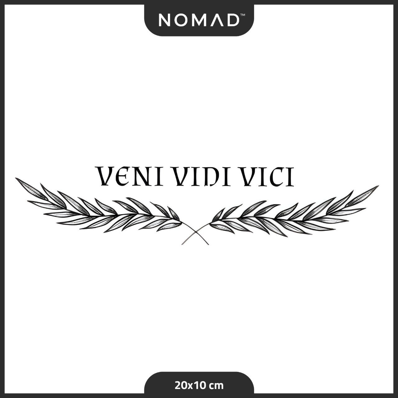 شعار النصر VENI VIDI VICI
