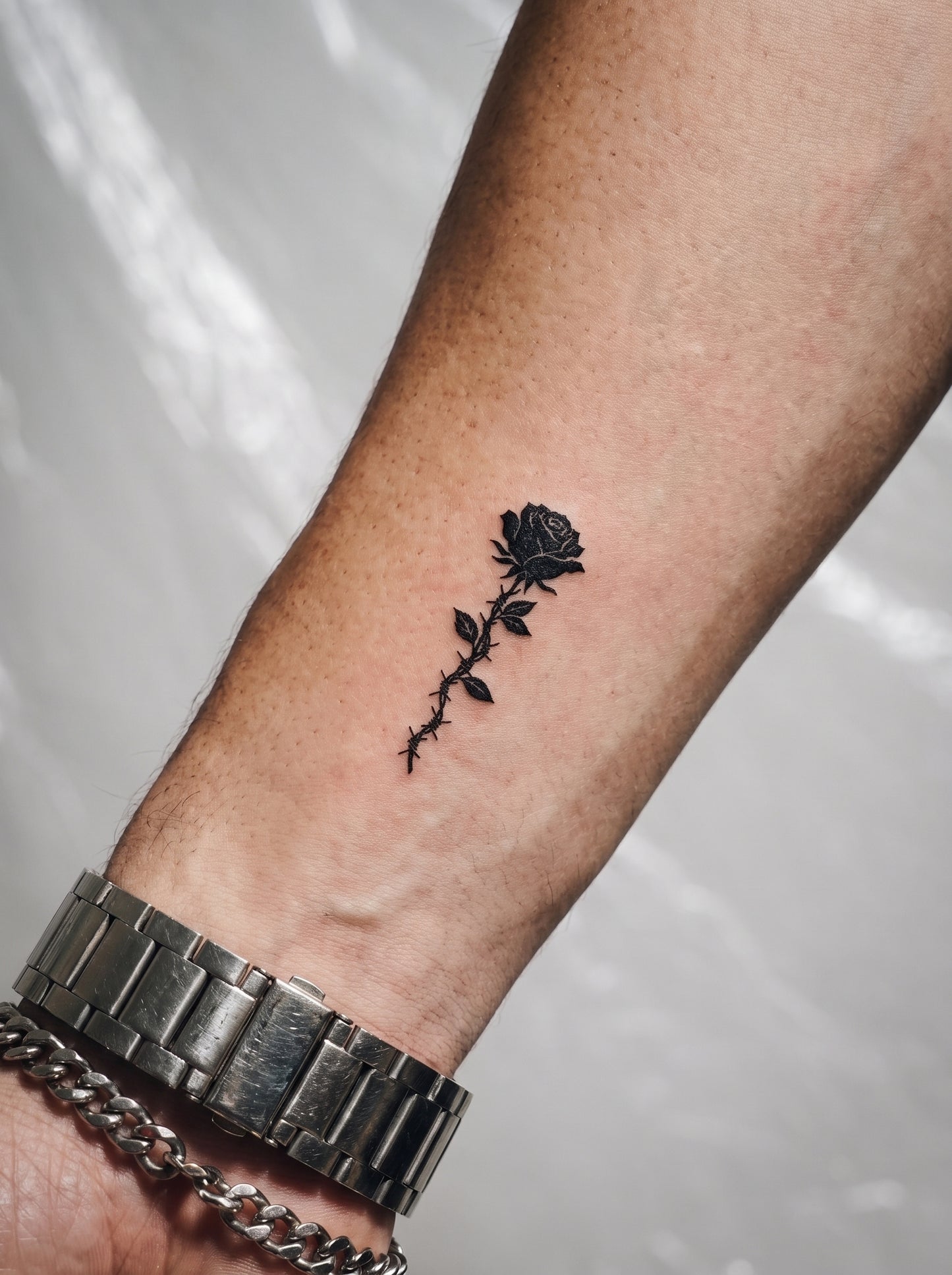 The Barbed Wire Rose | وردة السلك الشائك 🌹🔗