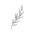 وشم غصن أوراق بتصميم خطي ناعم وبسيط