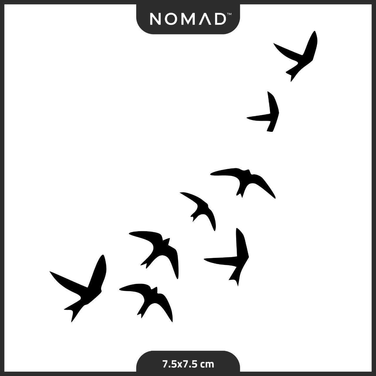 طيور الحرية 🕊️✨