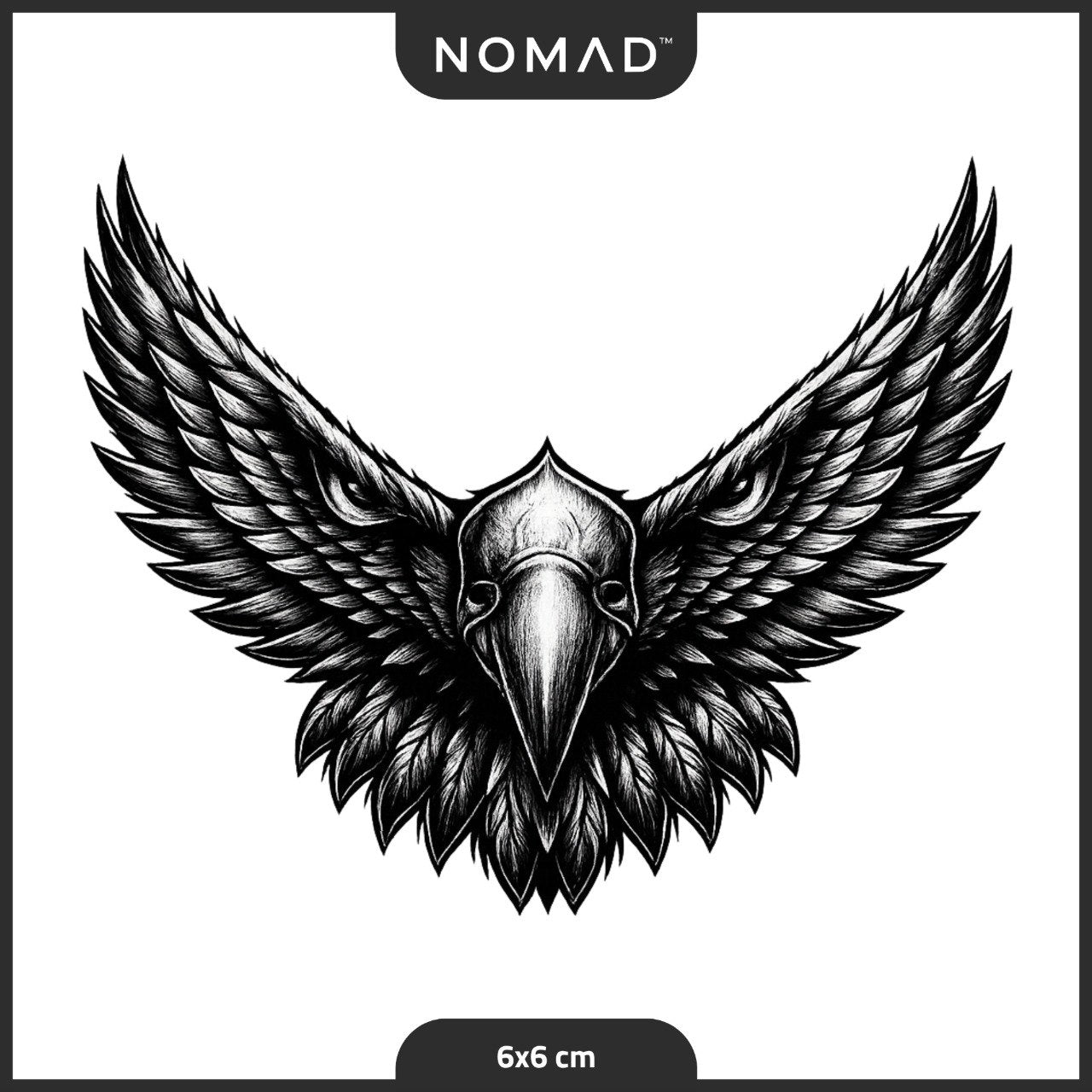 Majestic Falcon | صقر الشموخ والحرية 🦅⚡️