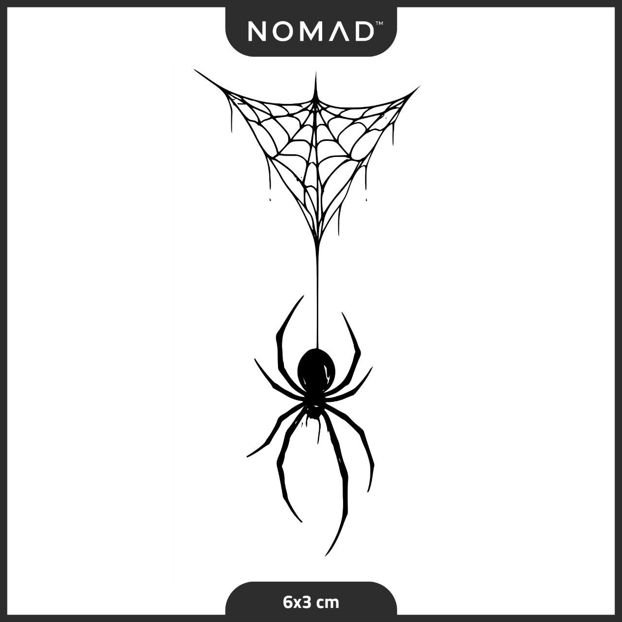 عنكبوت الرقبة 🕷️🕸️
