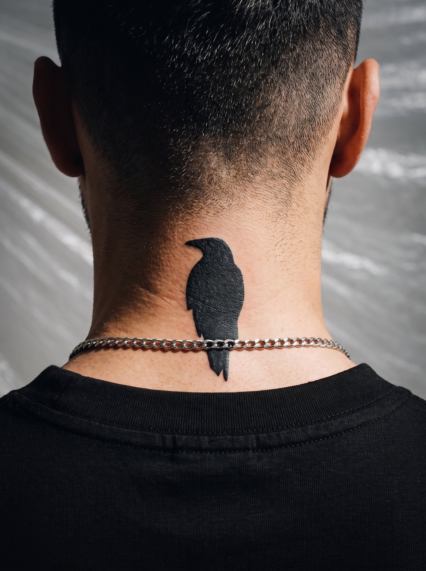 غراب Raven
