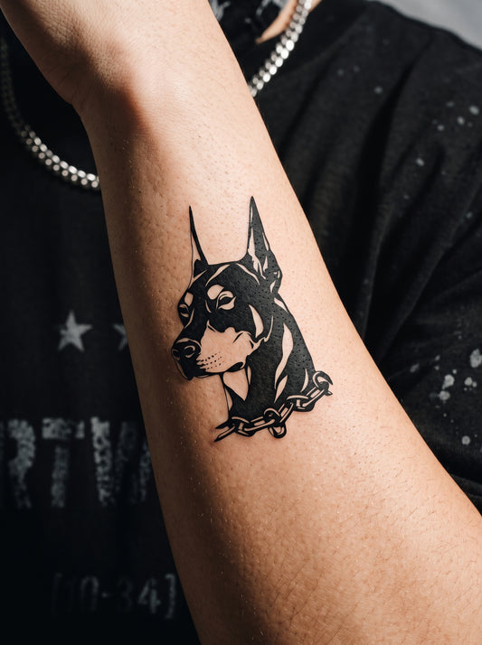 Doberman | الدوبرمان 🐕‍🦺⛓️