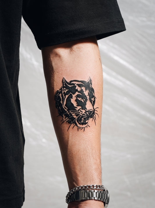 🐆 فهد