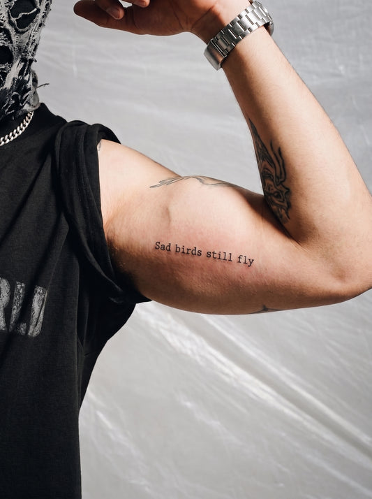 Sad Birds Still Fly | الطيور الحزينة تحلّق أيضاً 🕊️🖤